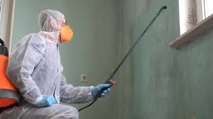 Winton, CA Mold Remediation Company